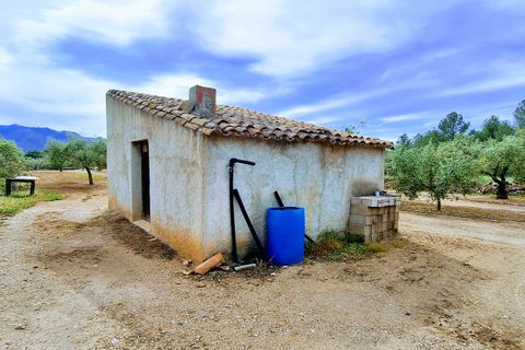 Finca i Ginestar, Tarragona, Ginestar - € 36.000 | Ref: CC827 - foto 1